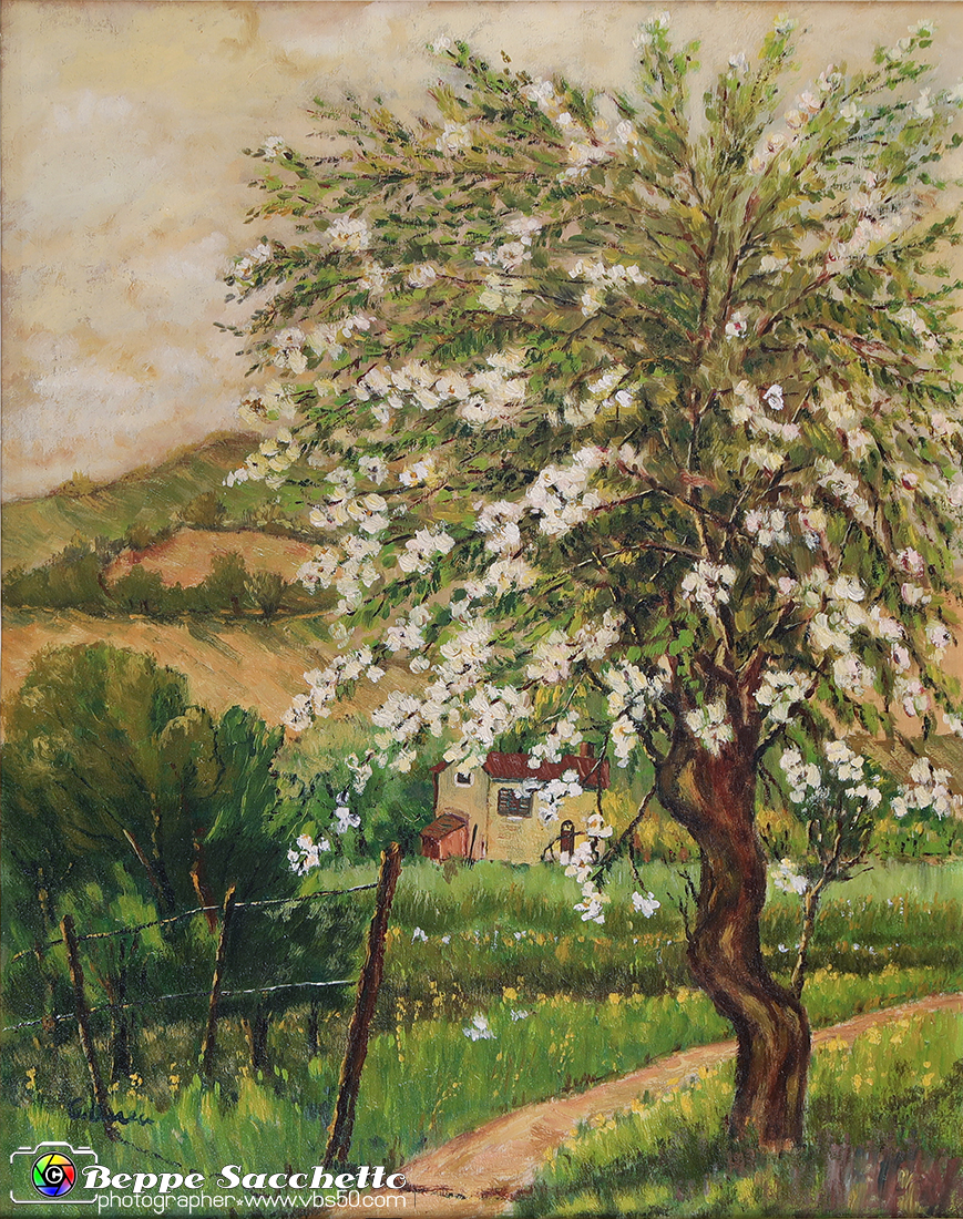 VBS_4841 - Mostra 'La mia campagna' di Carlo Unere.JPG
